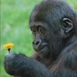 Meet your Posher, Myla